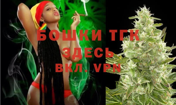 spice Алексин